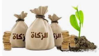 Zakat money projects